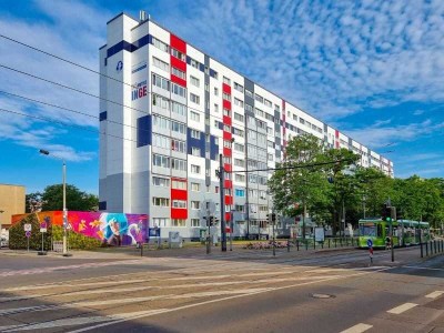 Hier geht`s hoch hinaus-ebenerdig der Sonne entgegen.