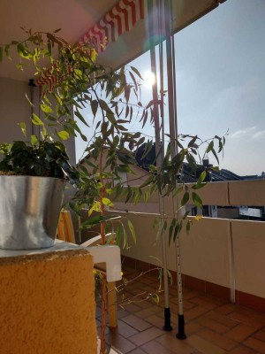 Charmante 1-Zimmer-Wohnung mit Balkon und Stellplatz – Einziehen & Wohlfühlen ab 15.07.2025