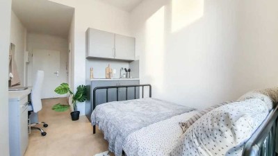 Helle 1-Zimmer Wohnung im 3. OG mit Aufzug in Dresden Johannstadt-Süd