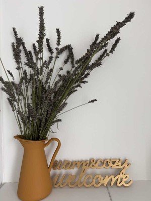 Moderne 26,5qm Einliegerwohnung in Griesheim mit EBK und Terassennutzung