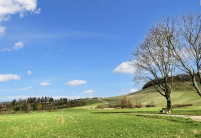 Feldrand-Idylle mit Rendite-Option: MFH + ELW, Weitblick & Top-Lage. Keine Käuferprovision.
