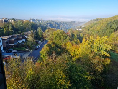 Helle 2,5 Zimmer 60qm Wohnung mit grandioser Aussicht in Uni Nähe