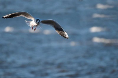 Wohlfühloase für die Familie auf der Insel Rügen!