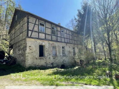 (A1549) Altes Haus, viel Grundstück und Alleinlage – Sanierungsobjekt mit vielen Möglichkeiten