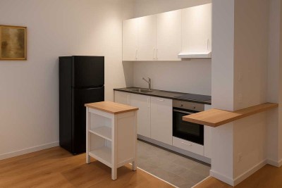 Modernes City Apartment am Stadtpark - 50qm - 2 Zimmer - EBK