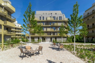 Hirschfeld - Ihr neues Zuhause im Grünen - anfragen, besichtigen, einziehen - 41 bis 96 m²