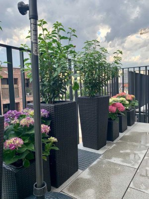 Stilvolle 2-Zimmer-Wohnung mit großem Balkon in Köln-Ehrenfeld