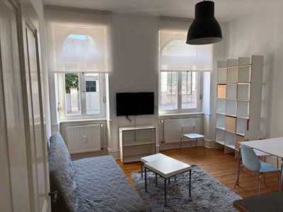 Von Privat: vollmöblierte 2-Zimmer-EG-Wohnung in Bestlage von Heidelberg-Neuenheim