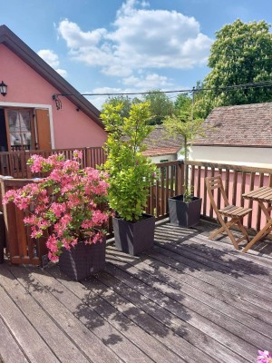 Idyllisches Landhaus mit Loft-Charakter im Weinviertel