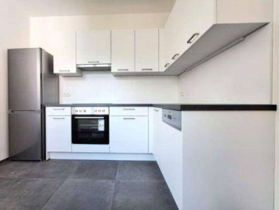 Erstbezug: Ruhiger 2 ZIMMER-NEUBAU + Süd-Balkon + extra Küche neu möbliert + neue Sanitäranlagen!