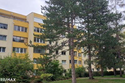Schöne 2 Zimmer Wohnung mit Lift - Investment oder selber wohnen (dzt. vermietet!)