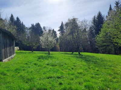 Landwirtschaft Nähe Graz - Ideal für Pferdehaltung!