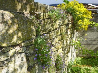 Zeitgemäß Wohnen in historischen Mauern
