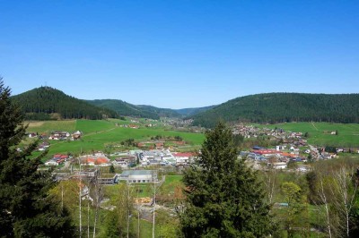 Einmaliges Appartement mit toller Schwarzwald-Aussicht in Baiersbronn mit Schwimmbad