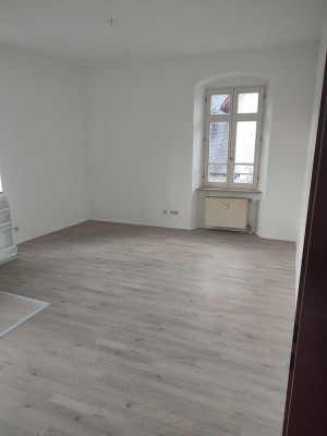 Exklusive 2-Raum-Wohnung in Geisenheim