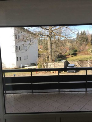 Sonnige 1-Zimmer-Wohnung in Oberstaufen