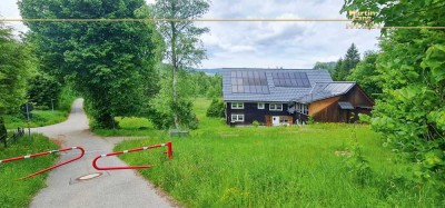 Schwarzwaldhaus im Naturschutzgebiet - Sonnenlage