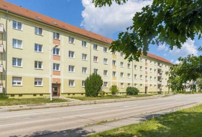 2-Raumwohnung  in der Aufzugsallee