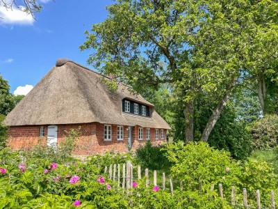 Romantische Reetdachkate zwischen den Meeren