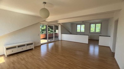 Blick über die Dächer von Schliengen, 3 Zimmer-DG-Wohnung