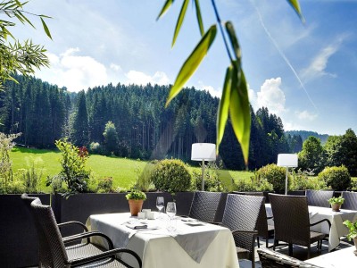2 Zimmer Apartment / Kitzbüheler Alpen / Tirol / Serviced Apartment