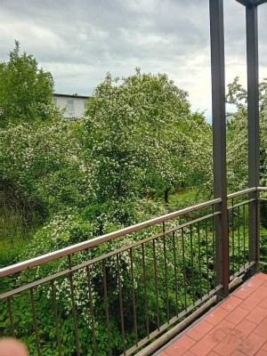 Sonnenbalkonwohnung von privat im Wohnpark Sonnengarten
