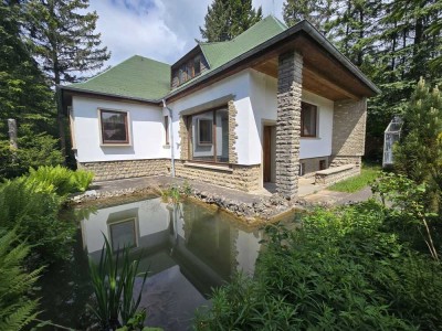 GELEGENHEIT m. POTENZIAL Wohnhaus mit gr. Nebengebäude und zusätzlichem Baugrundstück in Bestlage!