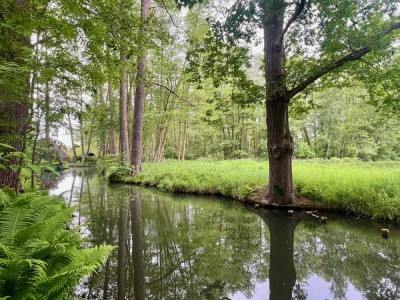 Natur pur vor der Haustür: Ihr persönliches Paradies direkt am Fließlauf.