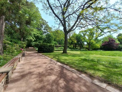 ORTS***2-Zimmerwohnung in DU-Duissern (Kaiserbergviertel) Nähe "botanischer Garten"