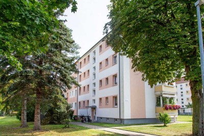 Bezugsfertige 3 Raum-Wohnung