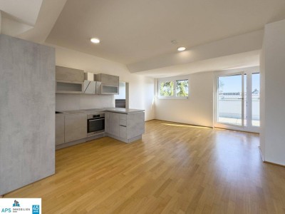 TRAUMLAGE mit BLICK AUF DIE ALTE DONAU - 3 Terrassen - Grünruhelage an der U1