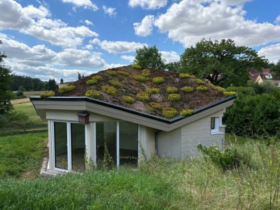 Komfortabler Bungalow direkt am Nationalpark Hainich