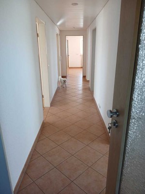 Sehr lichtdurchflutete 4 Zimmer wohnung mit Balkon und EBK in Bad Waldsee Reute