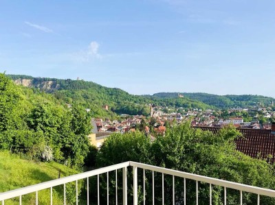 Sonnennest 5-Zimmer Penthouse Terrasse Garten Weinheim Weinberg