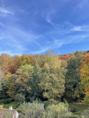 Schöne 2 Zimmer-Wohnung direkt am Wald!