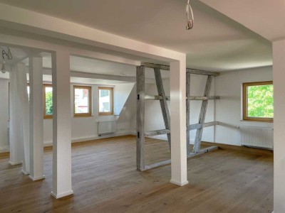 Einzigartiges Ensemble mit Garten, Scheune, sanierter DHH und Nachbar DHH im Herzen  von Metzingen