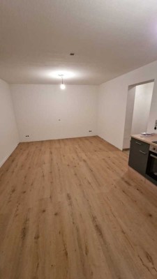 1 Zimmerwohnung zu vermieten