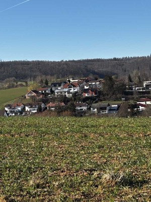 geräumige  5 - Zimmer Doppel-Haus-Hälfte in Fränkisch-Crumbach
