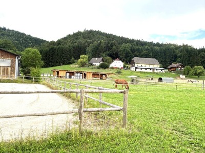 KLEINLANDWIRTSCHAFTLICHES JUWEL! CA.10 HEKTAR WALD! WIESEN! BETRIEBSFLÄCHEN!
