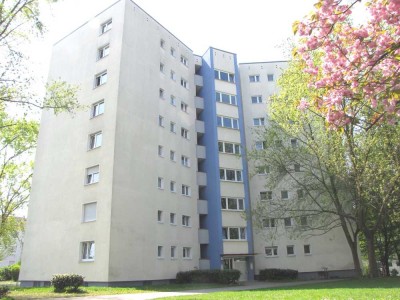 +++GOLDBERG+++S- BAHN+++HELL & SONNIG+++LAMINAT & FLIESEN+++BALKON+++HMS+++ETC.+++AB 07.2025+++
