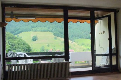 Sonnige, ruhige 1-Zimmer-Dachterrassen-Wohnung in Wolfach