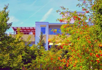 Puchheim-Bhf: Renoviertes 3-Zi-Penthouse, ca. 83m², gr. DT, Loggia, Lift, KfZ-Stpl. EBK, ab 01.01.26