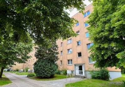 Wohnen - 01. OG - rechts - Otto-von-Guericke-Straße 29