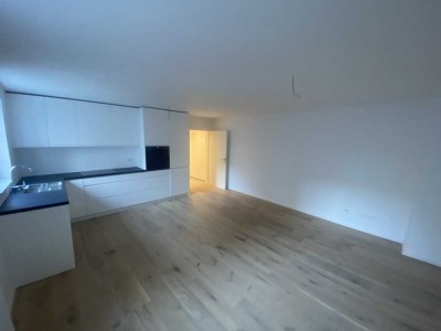 Luxuriöses und kernsaniertes 4-Zimmer Stadthaus 2 Stockwerke Parkett/Küche/2 Bäder