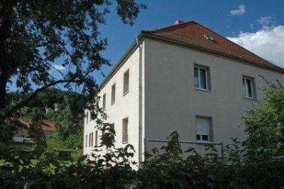 2-Raum Wohnung in Dresden-Cossebaude! (unrenoviert)
