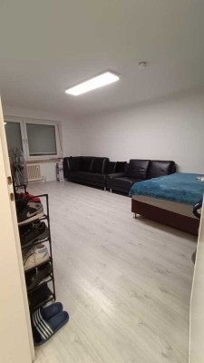 A big 33 m2 Studio apartment with seperate kitchen in Furstenried West