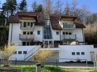 Direkt vom Inhaber: schön geschnittene 2-Raum-Wohnung mit EBK in Weinheim