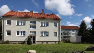 Sofort bezugsfertig. Modernisierte 3 Zimmer Wohnung mit Dusche.