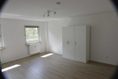 Helle 1-Zi-Küche-Bad -Wohnung in Wiesbaden