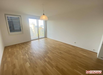2 Zimmer Wohnung im 10. Bezirk mit Terrasse